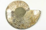 Bargain, Cut & Polished, Agatized Ammonite Fossil - Madagascar #200139-3